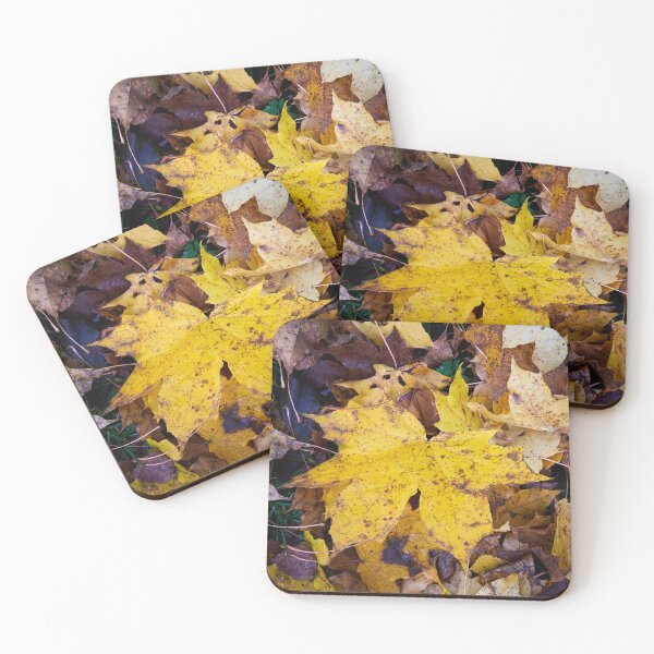 Item preview, The big one. Norway maple designed and sold by Jouko Lehto Photography.