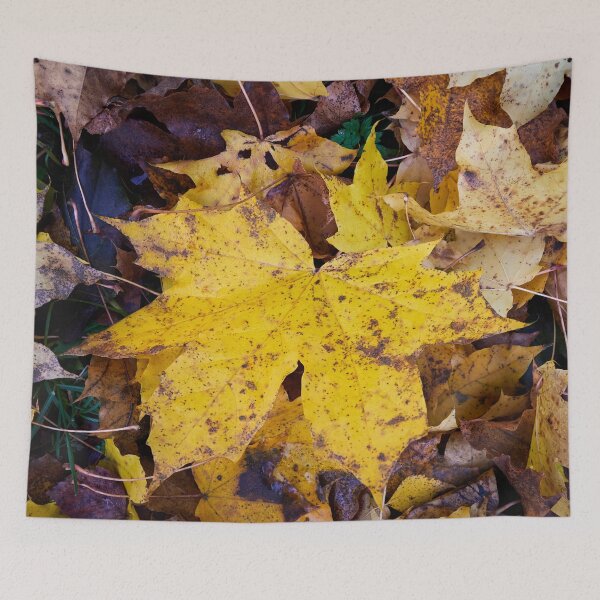 Item preview, The big one. Norway maple designed and sold by Jouko Lehto Photography.
