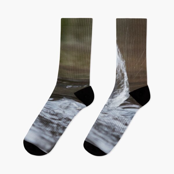 Item preview, Virtual wing. White-throated dipper designed and sold by Jouko Lehto Photography.