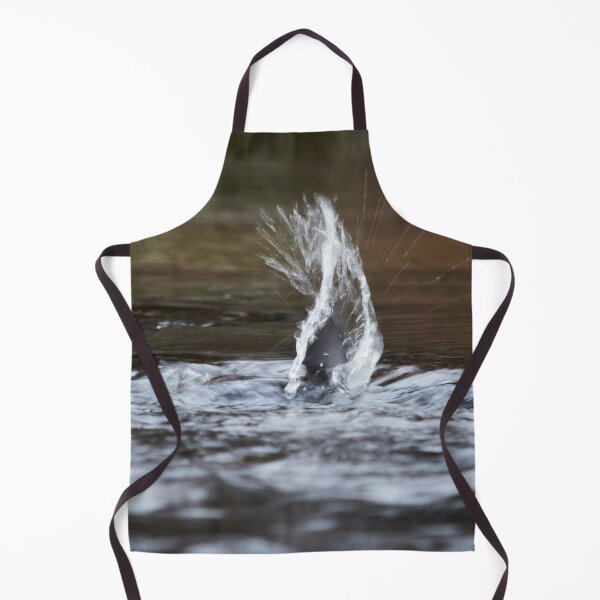 Item preview, Virtual wing. White-throated dipper designed and sold by Jouko Lehto Photography.