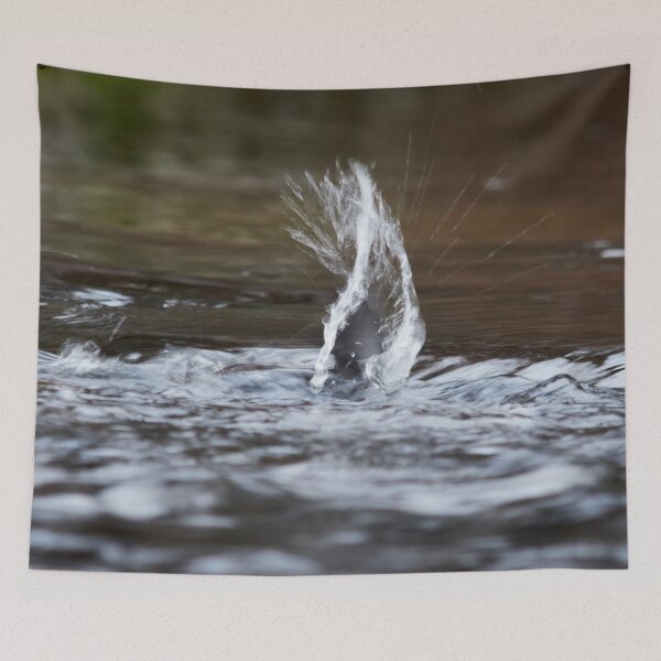 Item preview, Virtual wing. White-throated dipper designed and sold by Jouko Lehto Photography.