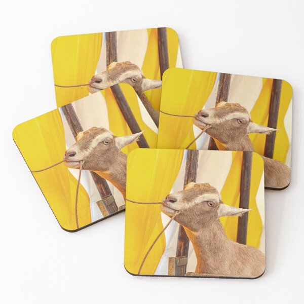 Item preview, British Toggenburg Goat - What Will Happen If I Pull This? designed and sold by Karen Dore Art & Photography.