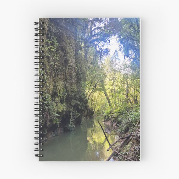 Item preview, River in Waitomo NZ designed and sold by Wondrous-Wild.