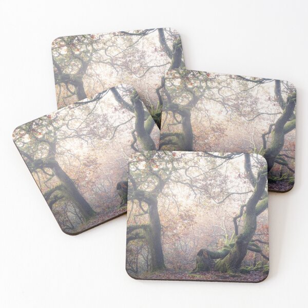 Item preview, Trees in the Mist at Padley Gorge designed and sold by Lenscraft by Robin Whalley.