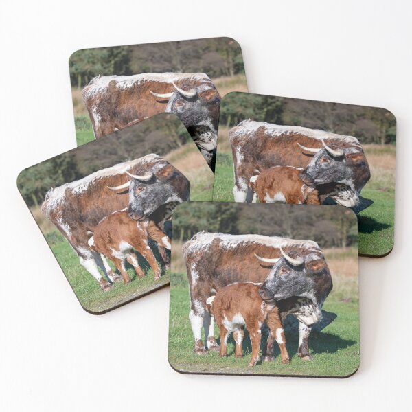 Item preview, English Longhorn Cow and Calf designed and sold by Karen Dore Art & Photography.