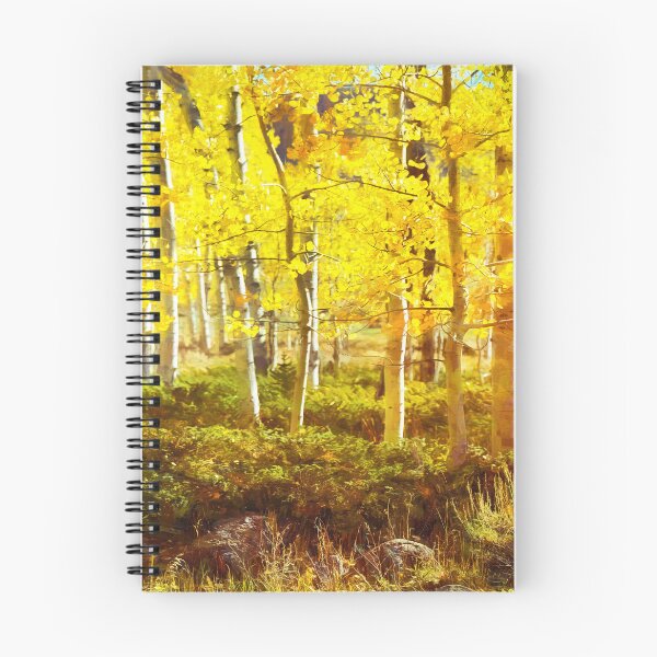 Artikelvorschau, Aspen Stand Boulder Utah X100 entworfen und verkauft von RichFrancoCars.