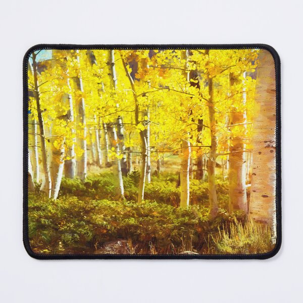 Item preview, Aspen Stand Boulder Utah X100 designed and sold by RichFrancoCars.