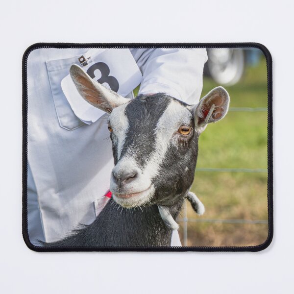 Item preview, Alert British Alpine Goat at the Show designed and sold by Karen Dore Art & Photography.