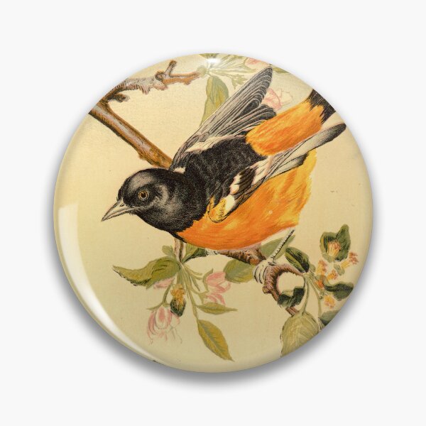 Item preview, Baltimore Oriole- 1880 designed and sold by HausHatfield.