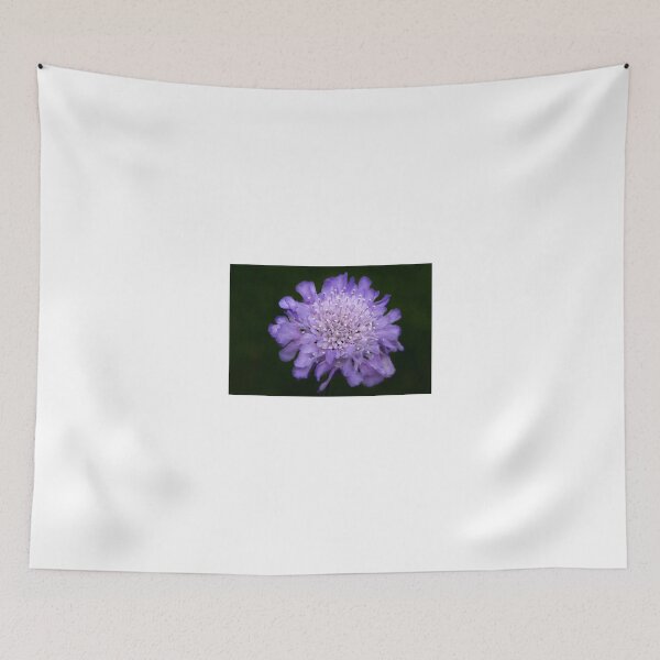 Item preview, Scabius  designed and sold by eddiej.