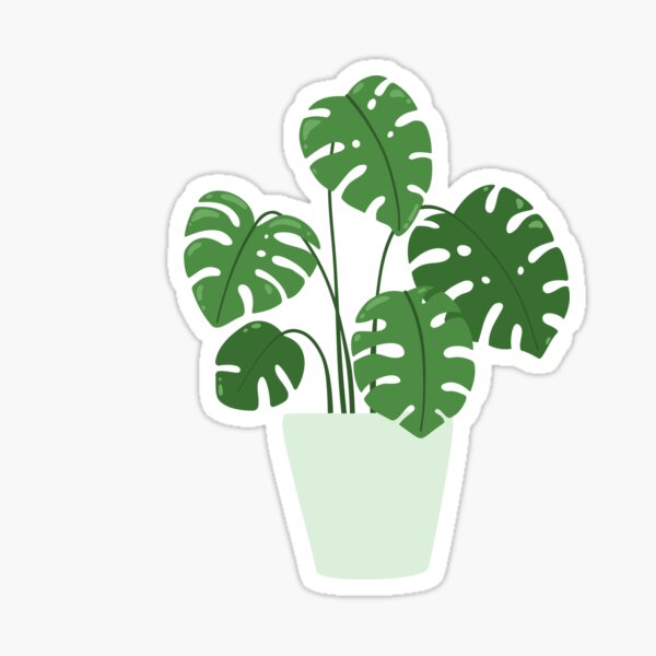 Vista previa del artículo con la obra «Patrón de Monstera en maceta», diseñado y vendido por ChaosDesigns876.