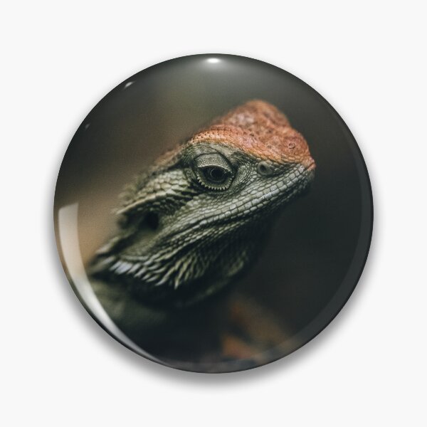 Item preview, Curious Lizard designed and sold by EdgarInFocus.