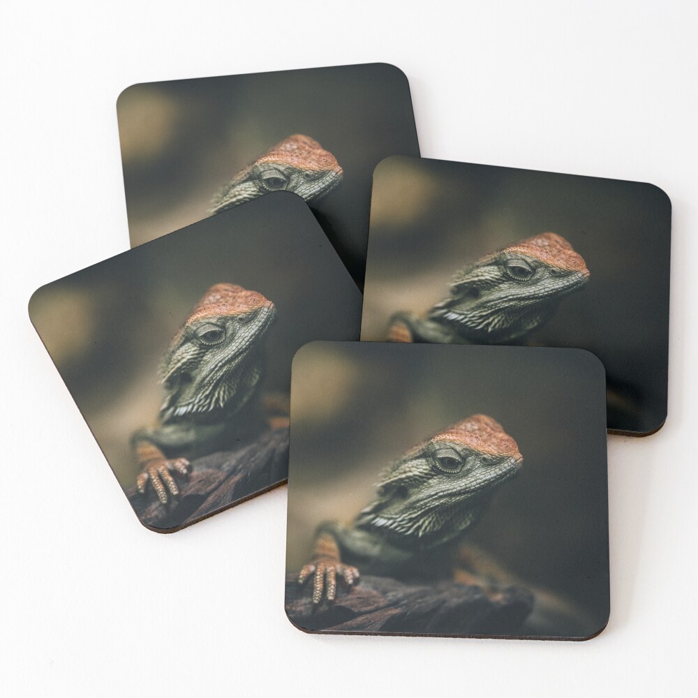 Item preview, Coasters (Set of 4) designed and sold by EdgarInFocus.