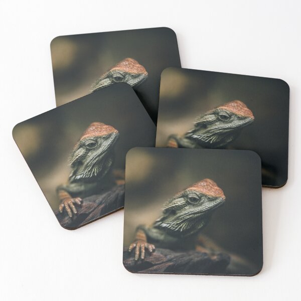 Item preview, Curious Lizard designed and sold by EdgarInFocus.