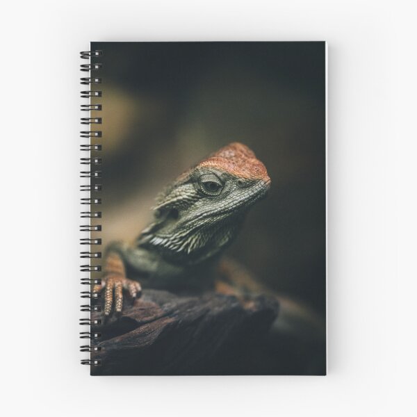 Item preview, Curious Lizard designed and sold by EdgarInFocus.
