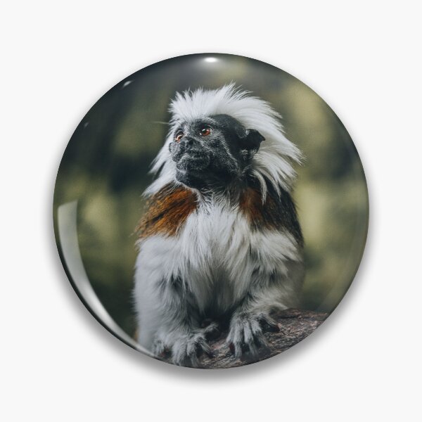 Item preview, Monkey In Forest designed and sold by EdgarInFocus.