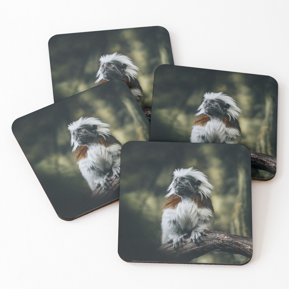 Item preview, Coasters (Set of 4) designed and sold by EdgarInFocus.