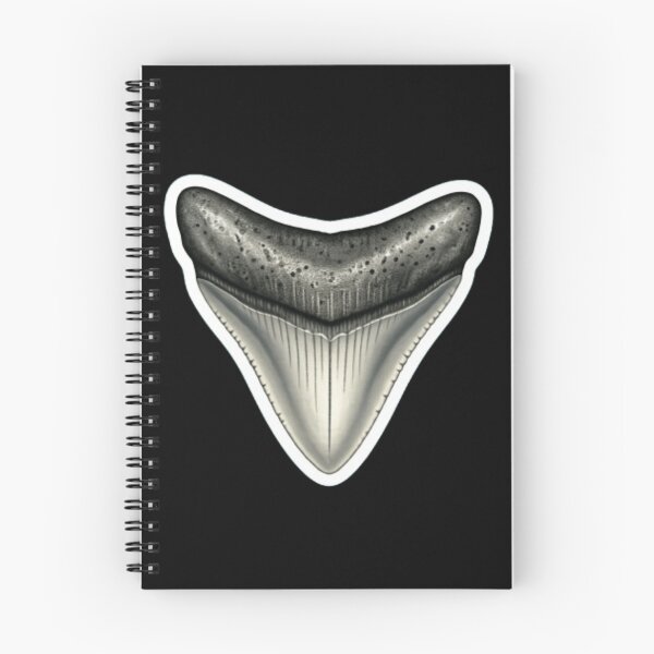 Item preview, Shark Tooth Fossil designed and sold by StickersRyous.