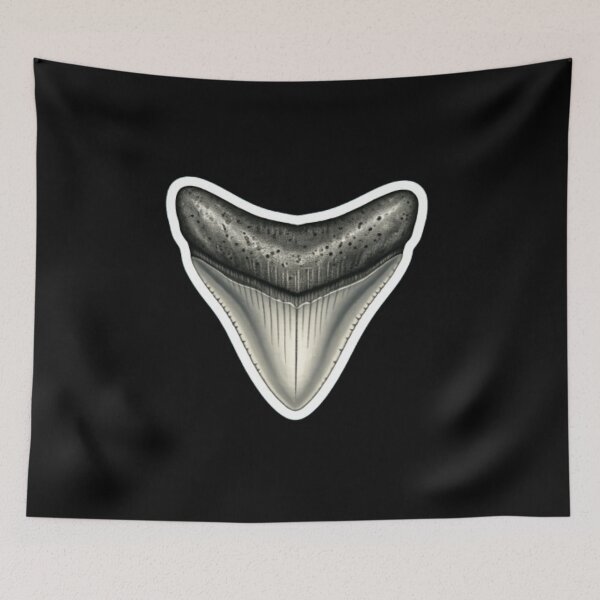 Item preview, Shark Tooth Fossil designed and sold by StickersRyous.