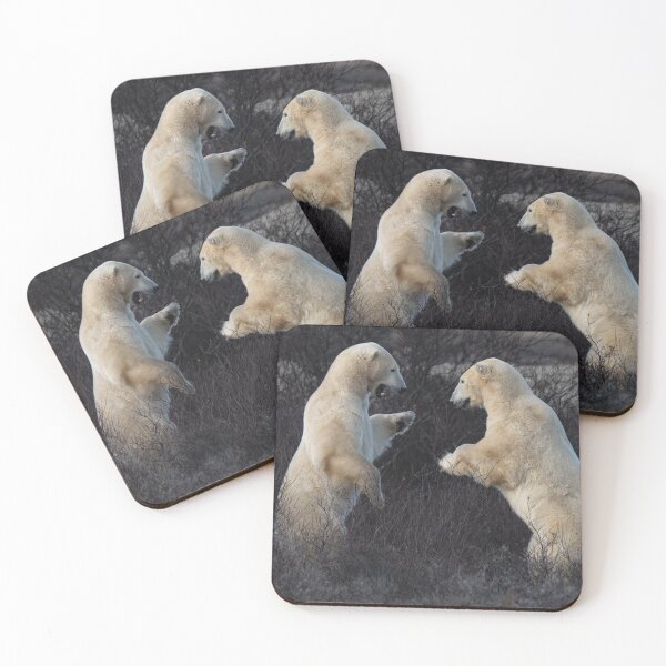 Item preview, Two Polar Bears fighting, Canada designed and sold by Kana Photography.