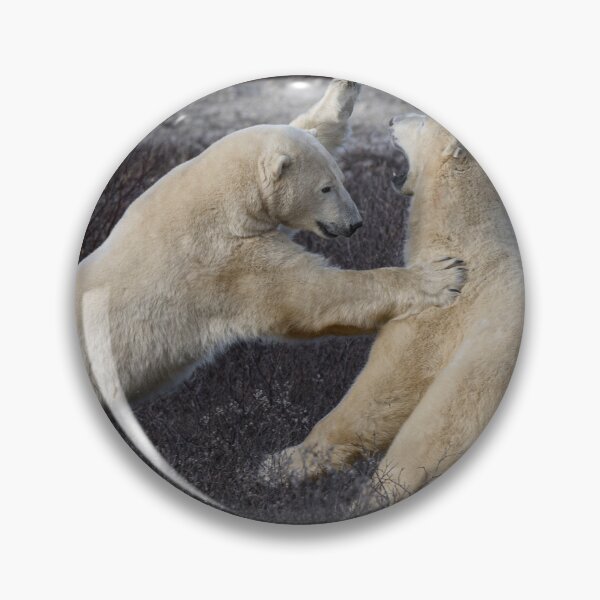 Item preview, Polar Bears fighting Canada designed and sold by Kana Photography.