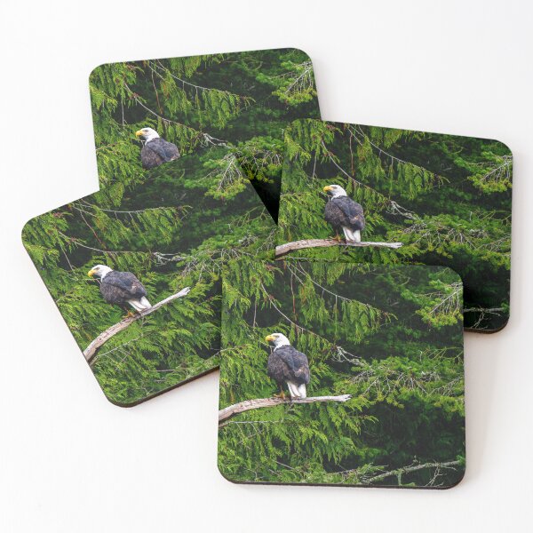 Item preview, Bald Eagle, Vancouver Island, Canada designed and sold by Kana Photography.