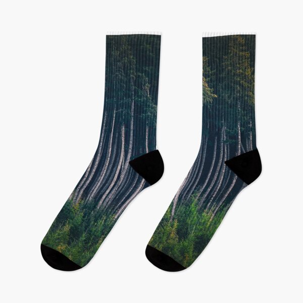 Item preview, Canadian Forest designed and sold by Kana Photography.