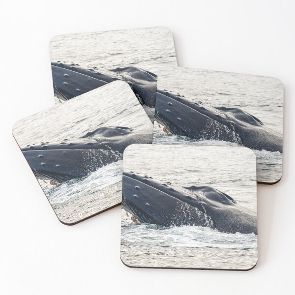 Item preview, Humpback Whale Canada designed and sold by Kana Photography.