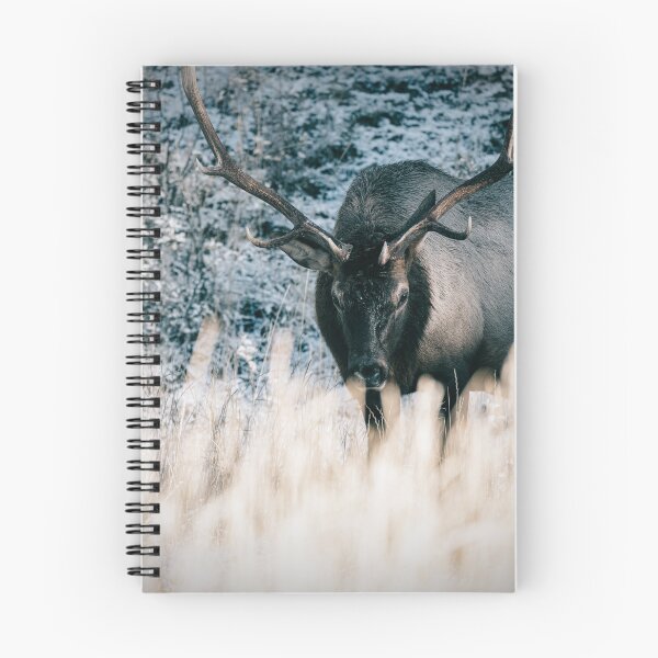 Item preview, Alce macho, Banff, Canadá designed and sold by Kana Photography.