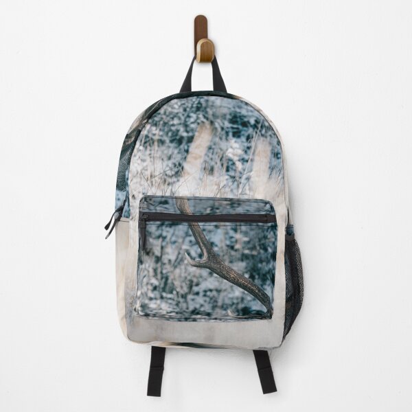 Item preview, Buck Elk, Banff, Canada designed and sold by Kana Photography.
