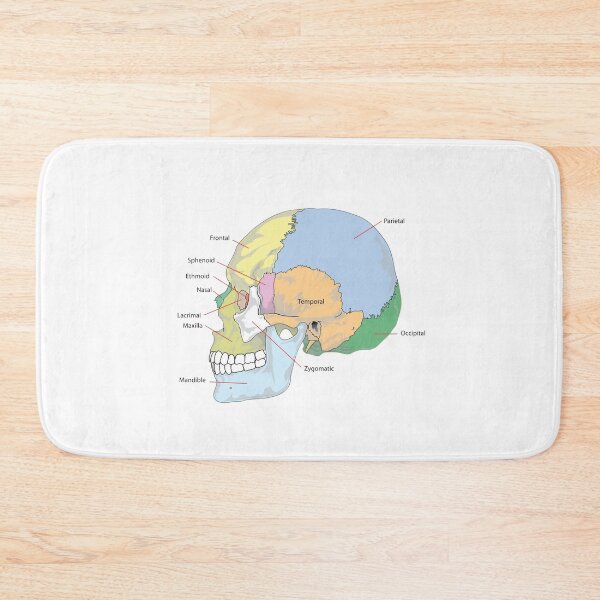 Item preview, Skull designed and sold by ciarameadows.