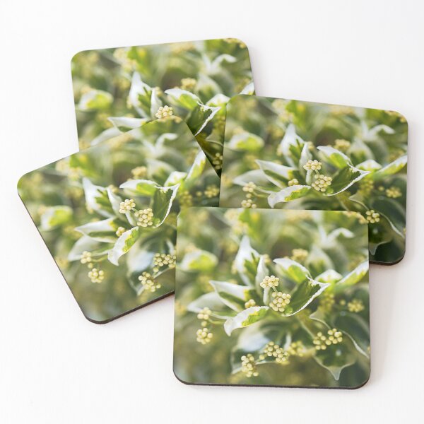 Item preview, Lush Variegated Green Leaves designed and sold by Joy Watson - Natural Light Photography .