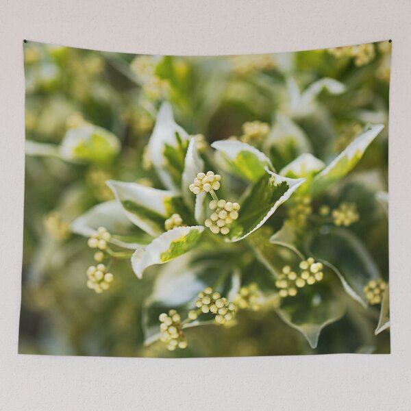 Item preview, Lush Variegated Green Leaves designed and sold by Joy Watson - Natural Light Photography .
