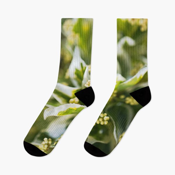 Item preview, Lush Variegated Green Leaves designed and sold by Joy Watson - Natural Light Photography .