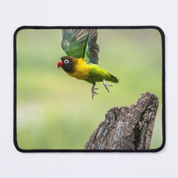 Item preview, African Love Bird, Flying Free in Tanzania designed and sold by Andrew Goodall.