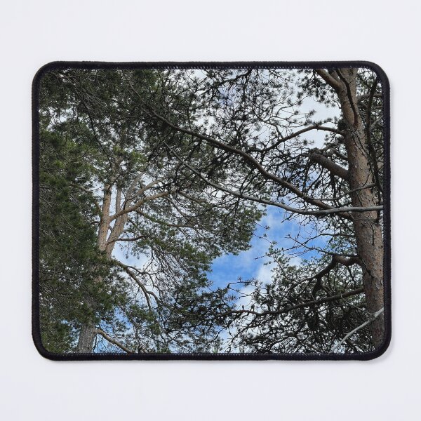 Item preview, Beautiful Tree Silhouettes in front of Clouds 9 designed and sold by JashJhaveri.