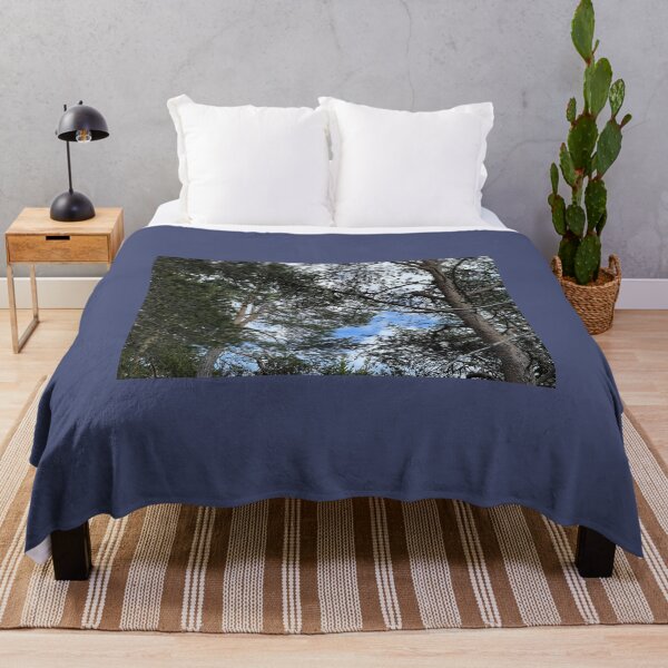 Item preview, Beautiful Tree Silhouettes in front of Clouds 9 designed and sold by JashJhaveri.