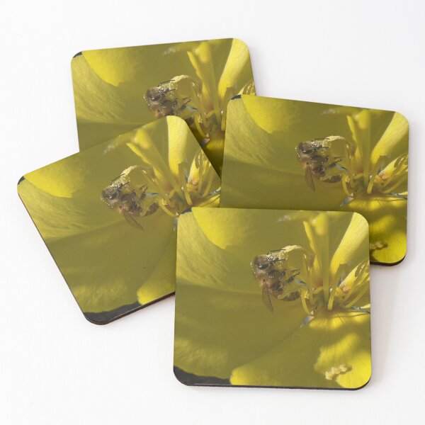 Item preview, Night Blooming Primrose & Bee designed and sold by Betsy Phillips.