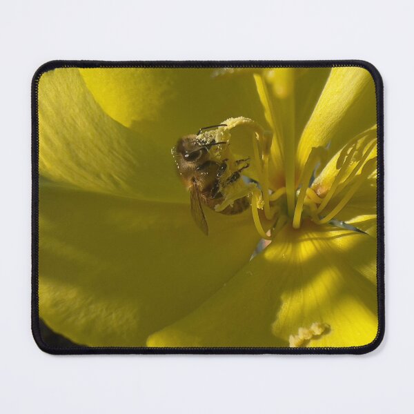 Item preview, Night Blooming Primrose & Bee designed and sold by Betsy Phillips.