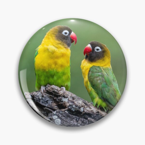 Item preview, African Love Birds, Tanzania designed and sold by Andrew Goodall.