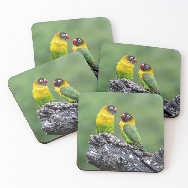 Item preview, African Love Birds, Tanzania designed and sold by Andrew Goodall.