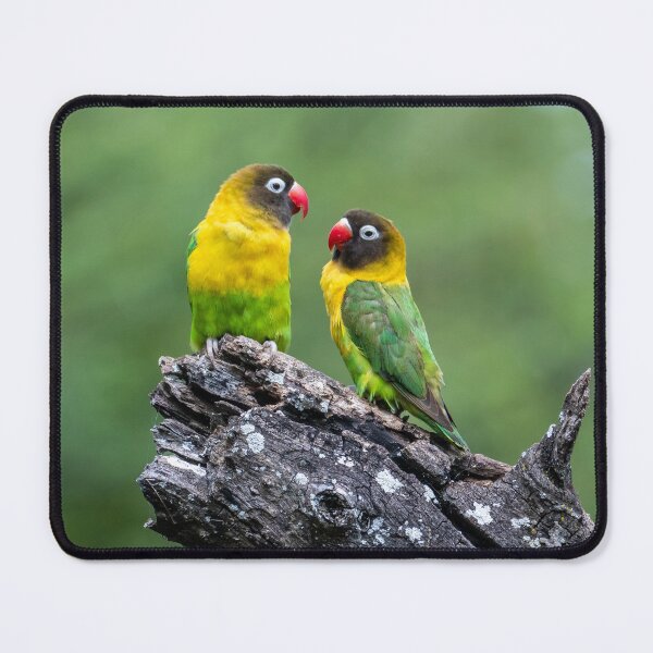 Item preview, African Love Birds, Tanzania designed and sold by Andrew Goodall.