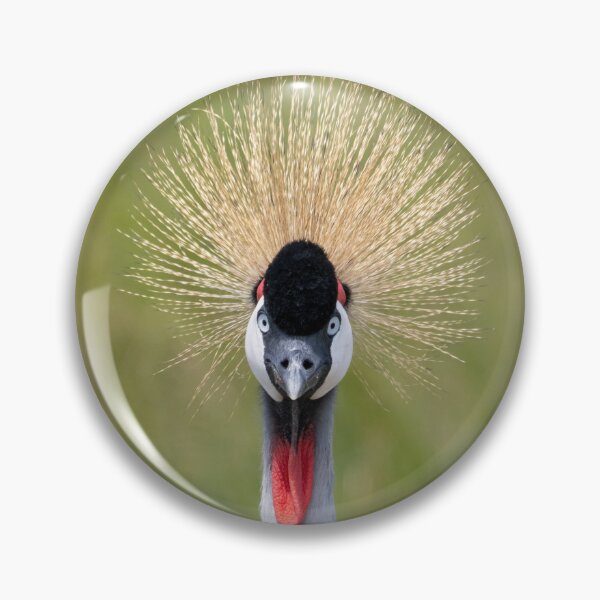 Item preview, Crowned Crane - Looking Right Back At You designed and sold by Andrew Goodall.