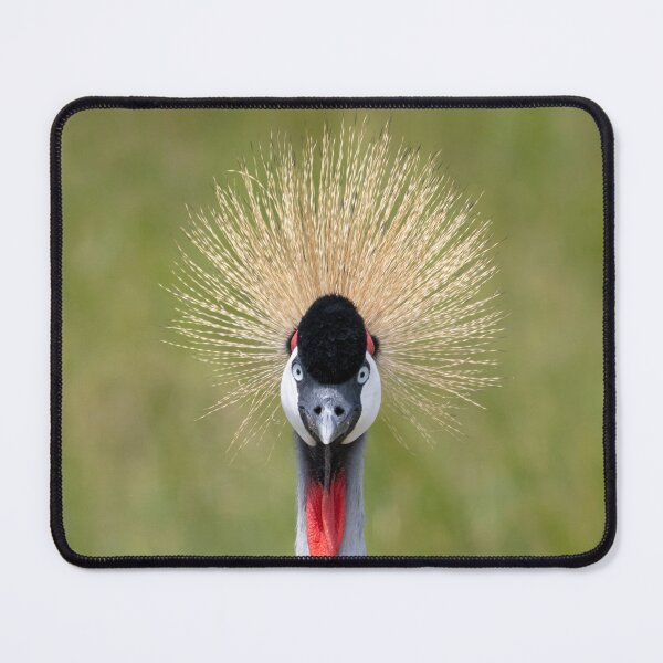 Item preview, Grulla coronada: te devuelvo la mirada designed and sold by Andrew Goodall.