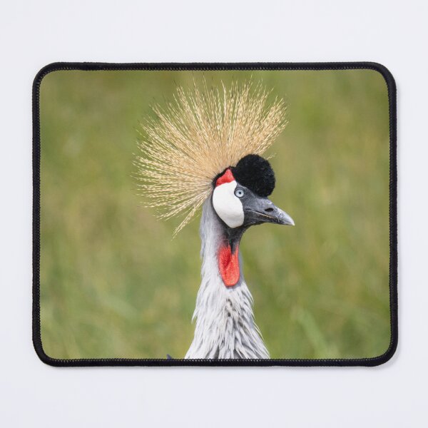 Item preview, Crowned Crane - All Fluffed Up designed and sold by Andrew Goodall.