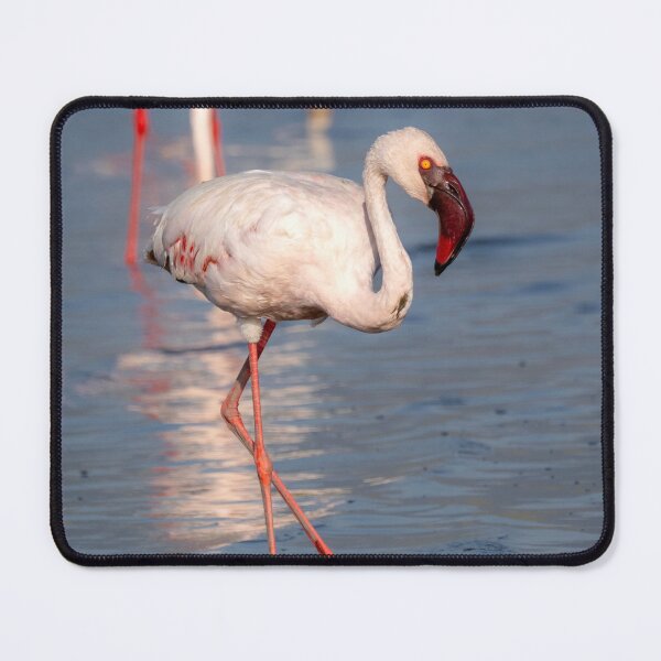 Item preview, Flamingo, Lake Natron, Tanzania designed and sold by Andrew Goodall.