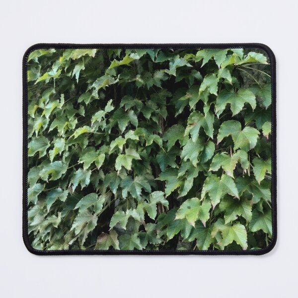 Item preview, Wall of Ivy 001 designed and sold by JWDanielson.