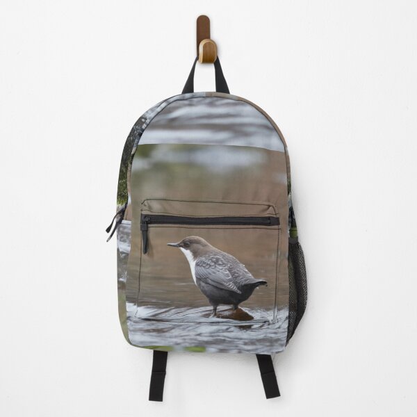 Item preview, Slow motion. White-throated dipper designed and sold by Jouko Lehto Photography.