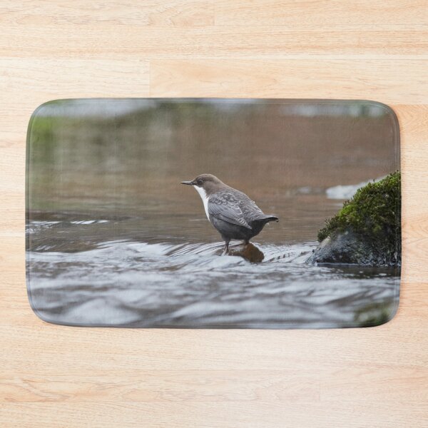 Item preview, Slow motion. White-throated dipper designed and sold by Jouko Lehto Photography.