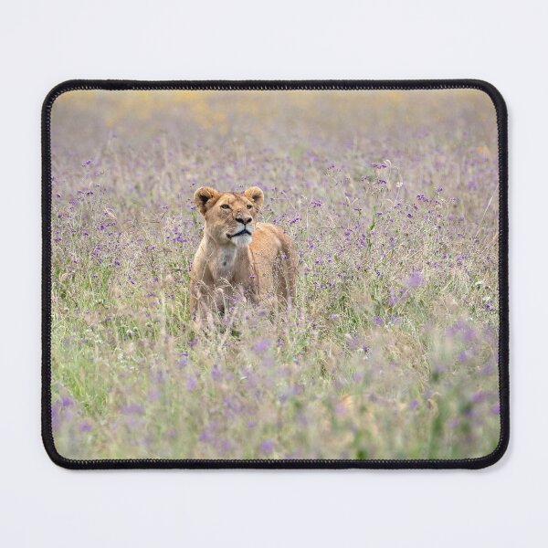 Item preview, Lioness Among The Wildflowers, Tanzania designed and sold by Andrew Goodall.